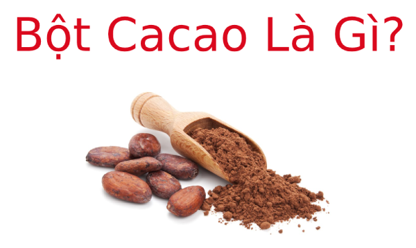 Bột Ca Cao Là Gì? Tác dụng của Bột Ca Cao