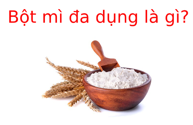 Bột mì đa dụng là gì? và Cách bảo quản