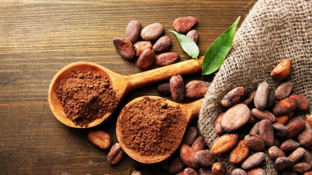 Bột Ca Cao Là Gì? Tác dụng của Bột Ca Cao