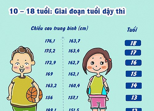 Giai Đoạn Vàng Giúp Con Cao Lớn