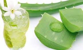 Cách nấu chè nha đam thơm ngon thanh lọc cơ thể