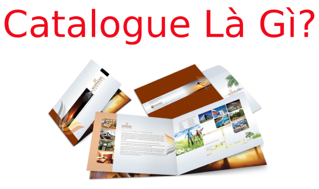 Catalogue là gì? Ưu nhược điểm của Catalogue