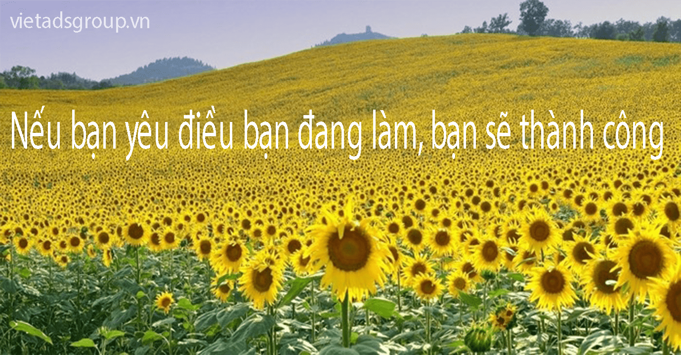 Top 60 Câu Nói Hay Nhất Làm Động Lực Thúc Đẩy Tinh Thần