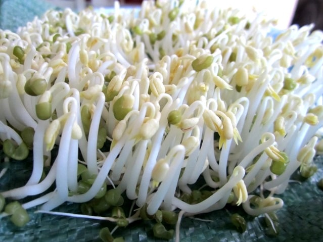 Thực Phẩm Tốt Cho Xương Khớp