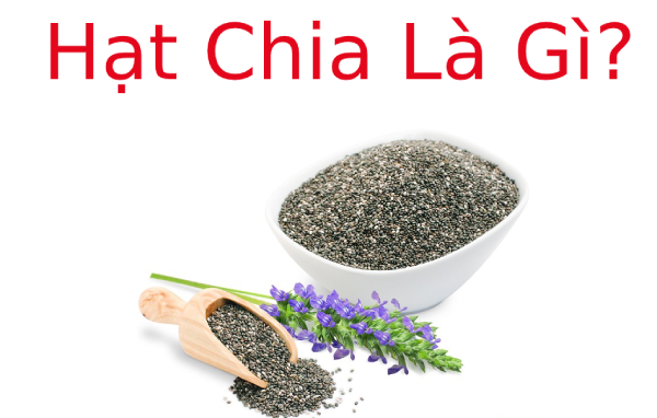 Hạt chia là gì? Cách sử dụng Hạt Chia