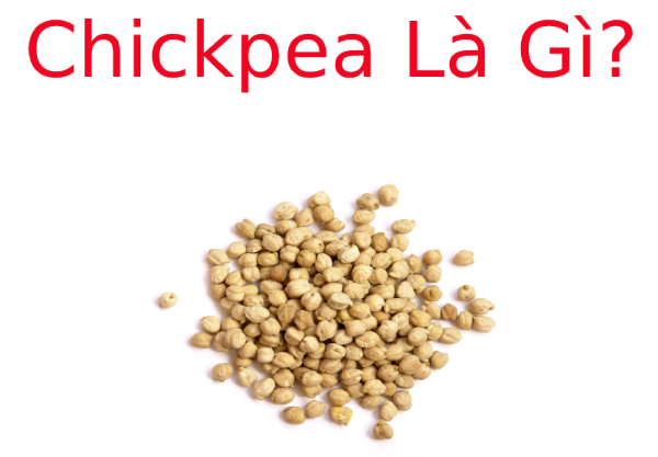 Chickpea là gì? Lợi ích tuyệt vời từ Chickpea