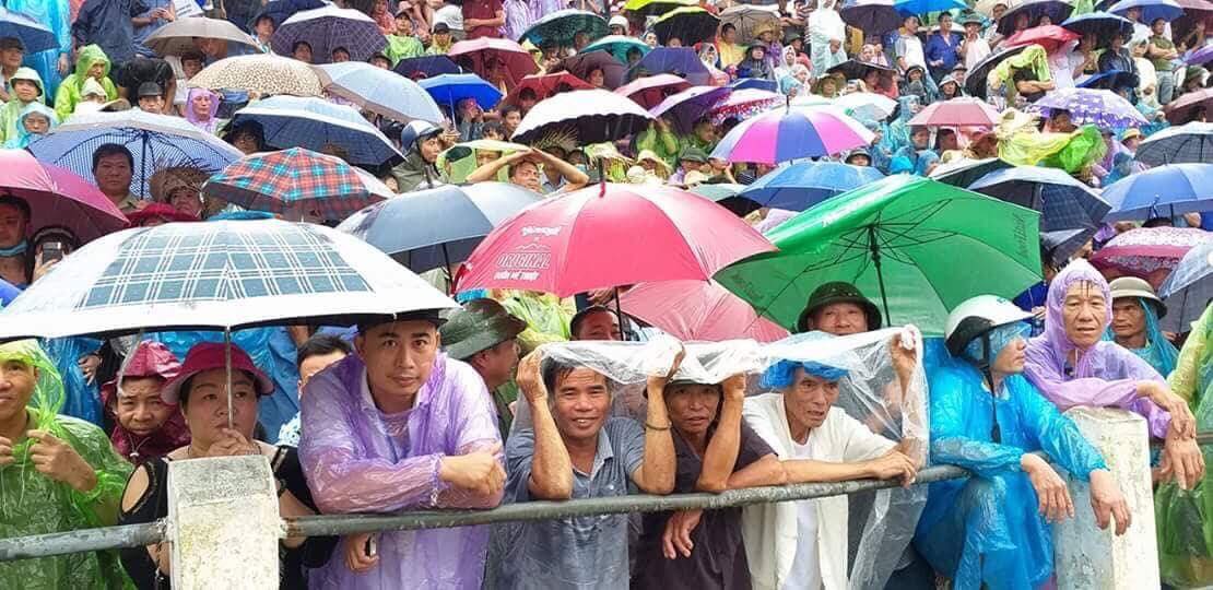 Vượt hàng 100 km về Đồ Sơn nhưng vẫn phải xem chọi trâu qua điện thoại