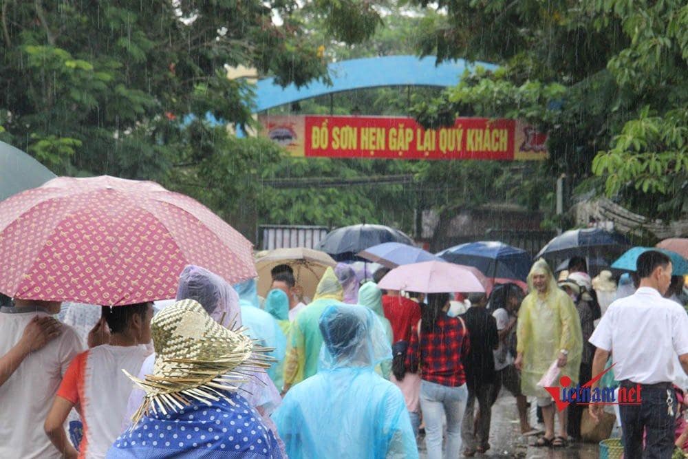 Vượt hàng 100 km về Đồ Sơn nhưng vẫn phải xem chọi trâu qua điện thoại