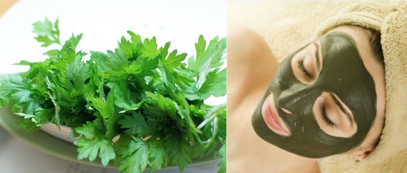 Mẹo Hay Trắng Da Sau Tuần Với Lá Ngải Cứu