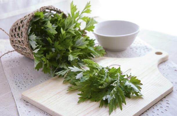 Mẹo Hay Trắng Da Sau Tuần Với Lá Ngải Cứu