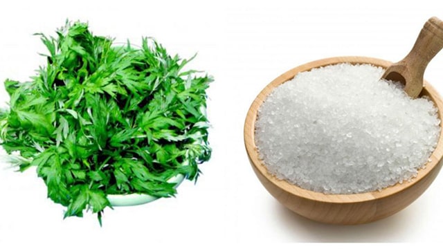 Mẹo Hay Trắng Da Sau Tuần Với Lá Ngải Cứu