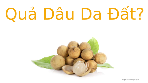 Dau Da đất La Gi Va Ba Bầu ăn Quả Dau Da đất Co Tốt Khong