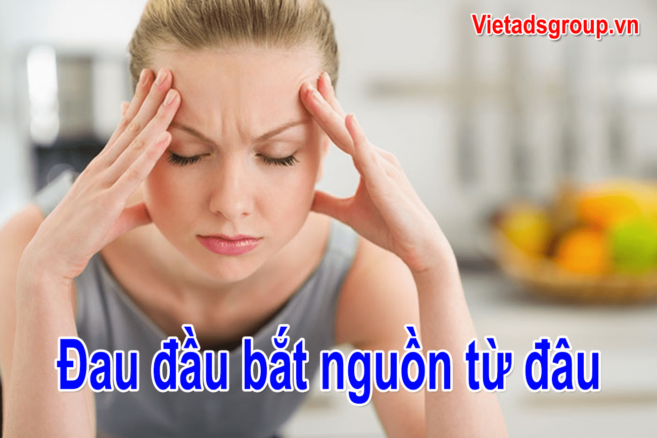 Nếu Nghĩ Đau Đầu Bắt Nguồn Từ Não Thì Bạn Đã Lầm Tưởng Rồi