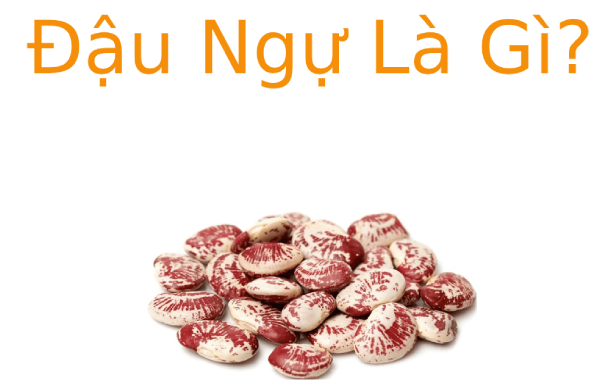Đậu Ngự là gì? Tác dụng của Đậu Ngự