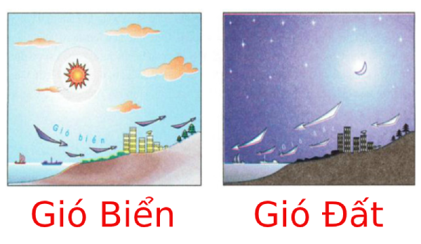 Gió biển là gì và vì sao nói gió biển là liều thuốc quý?