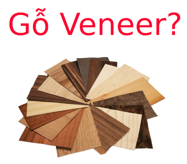 Gỗ veneer là gì? Ưu nhược điểm của Gỗ veneer