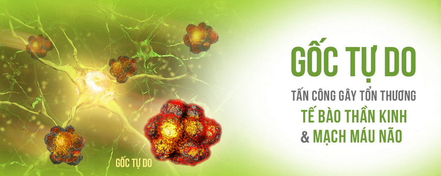 Gốc tự do là gì? Tìm hiểu về gốc tự do