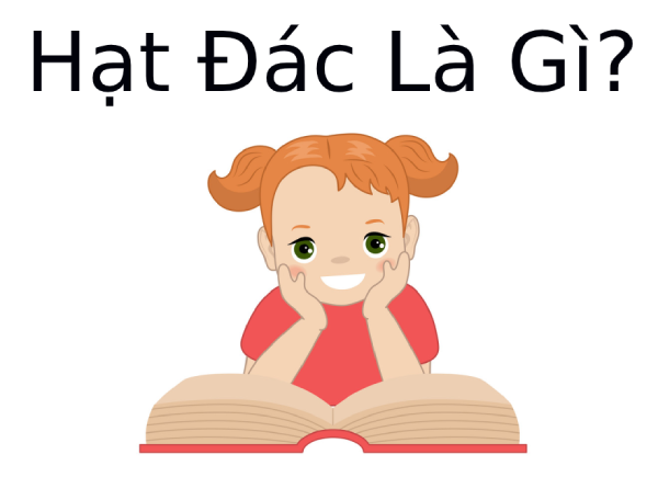 Hạt Đác là gì? Tác dụng của Hạt Đác