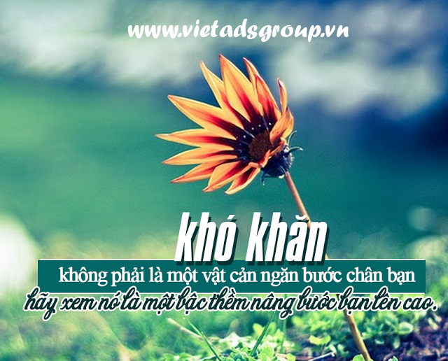 7 câu nói hay ngẫm về nhân sinh?