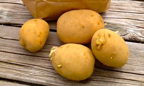 Làm Nội Trợ Nhàn Tênh Với Mẹo Hay Mỗi Ngày