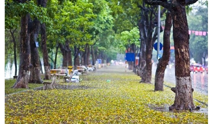 Mùa Thu Hà Nội Có Gì?