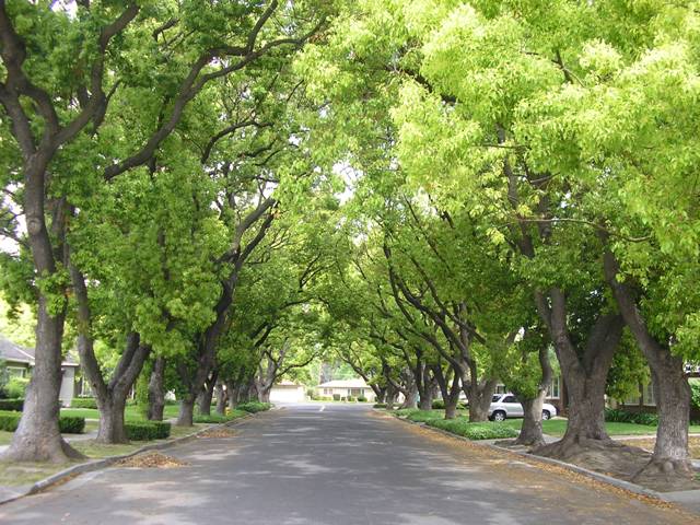 Mùa Thu Hà Nội Có Gì?