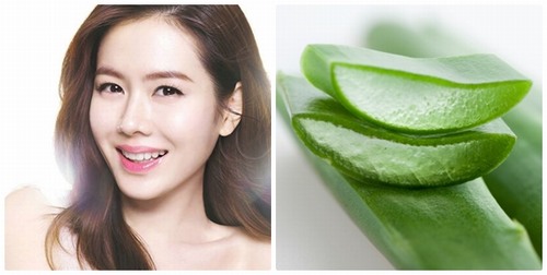 Nha Đam - Khắc Tinh Của Nám Và Tàn Nhang