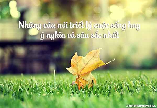 Những Câu Nói Hay Đáng Suy Ngẫm