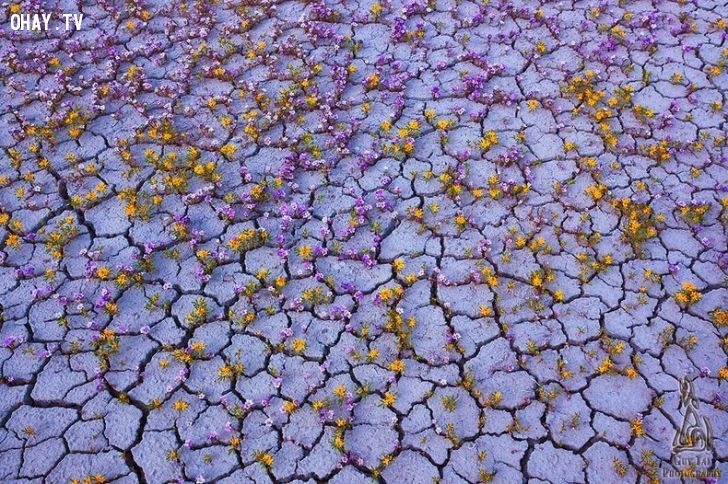 Những Câu Nói Hay Đáng Suy Ngẫm