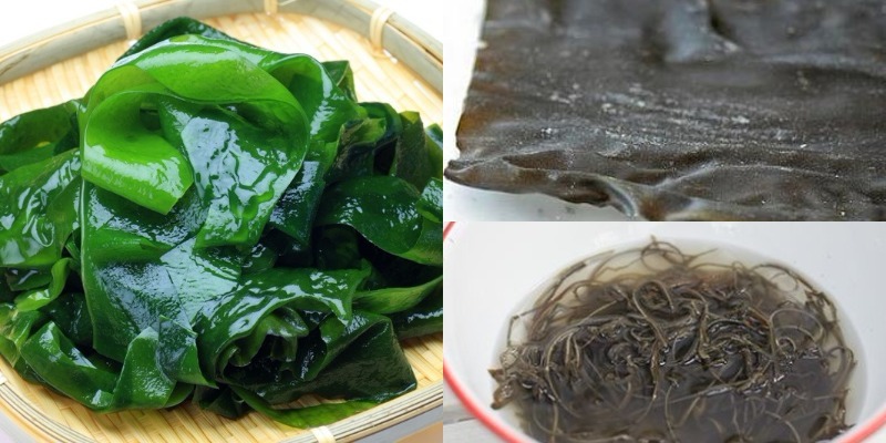 Phổ tai là gì và những món ngon được làm từ phổ tai?