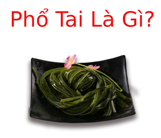 Phổ tai là gì và những món ngon được làm từ phổ tai?