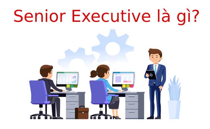 Senior Excutive là gì? Tìm hiểu về Senior Excutive