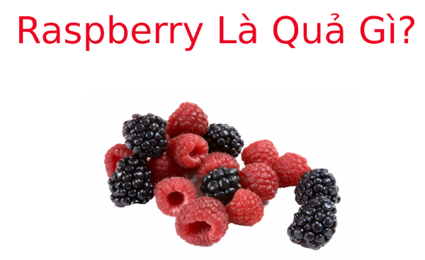 Raspberry là quả gì? Công dụng tuyệt vời của Raspberry
