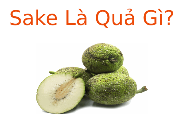 Sake là quả gì? Các công dụng tuyệt vời của Sake