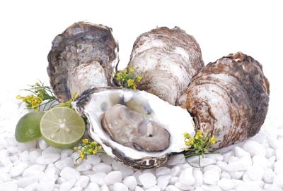 Các loại thực phẩm giúp giảm căng thẳng và tăng cường trí nhớ