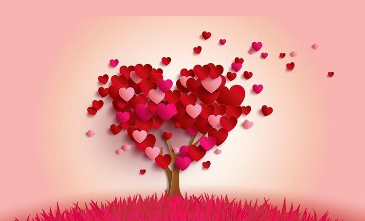 Perché Tiamo là gì và những câu tỏ tình Crush dễ thương?