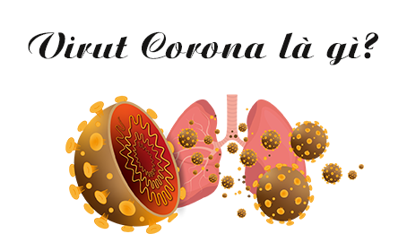 Virut Corona mới 2019 hay 2019 - nCoV là gì ?
