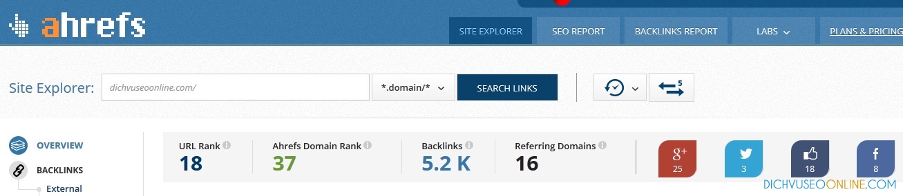 Google Penguin là gì? Thuật toán Google Penguin là gì?