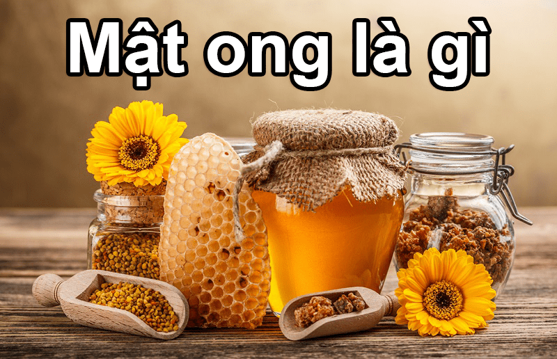 Mật Ong Là Gì? Tác Dụng Của Mật Ong
