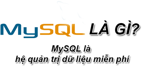 MySQL là gì? Tầm quan trọng của SQL là gì?