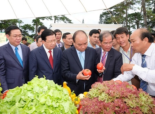 Phó thủ tướng phát biểu: Chính phủ sẵn sàng đi chợ cùng người nông dân