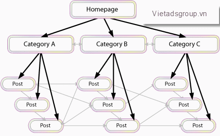 toi-uu-internal link