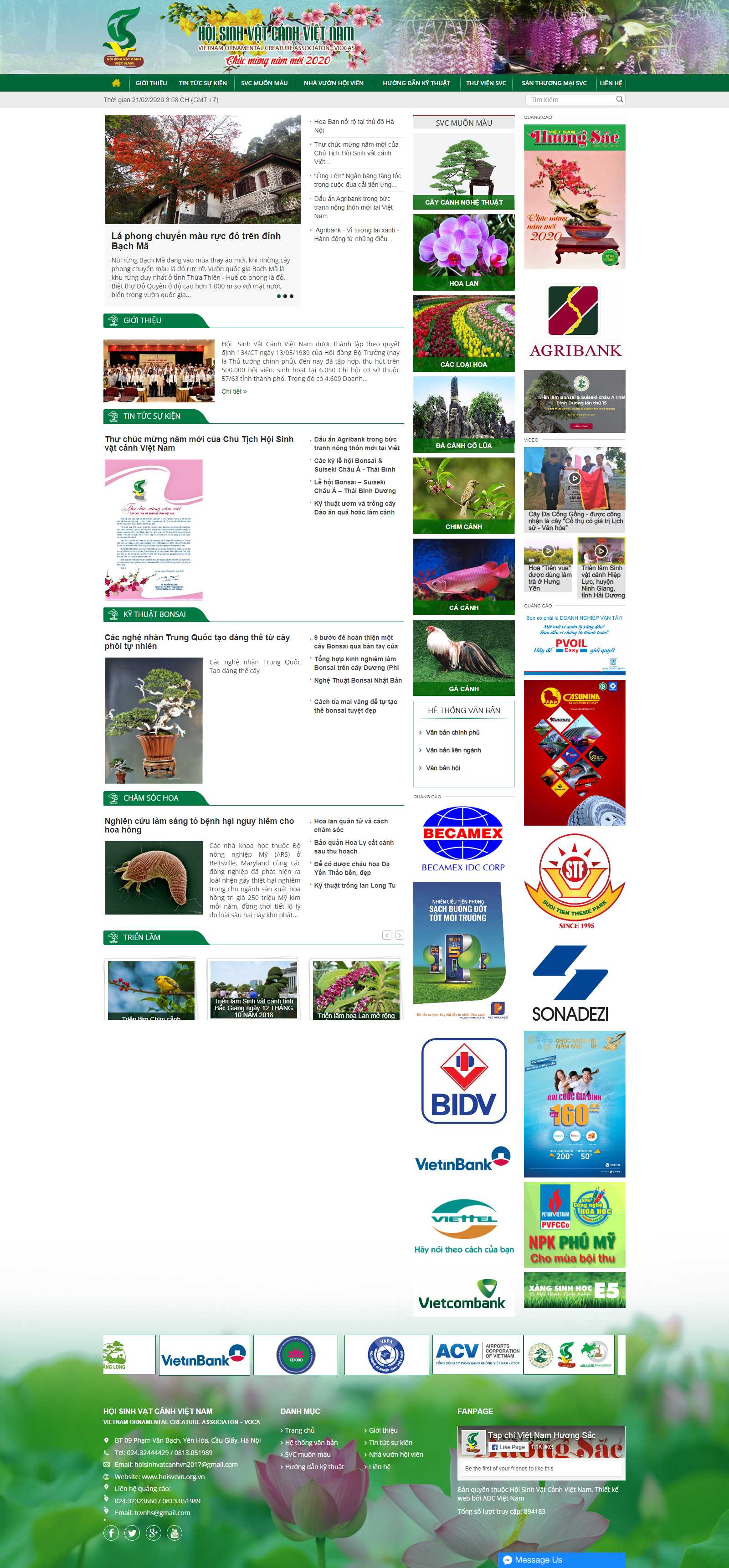 Thiết kế Web chim cảnh hoisvcvn.org.vn