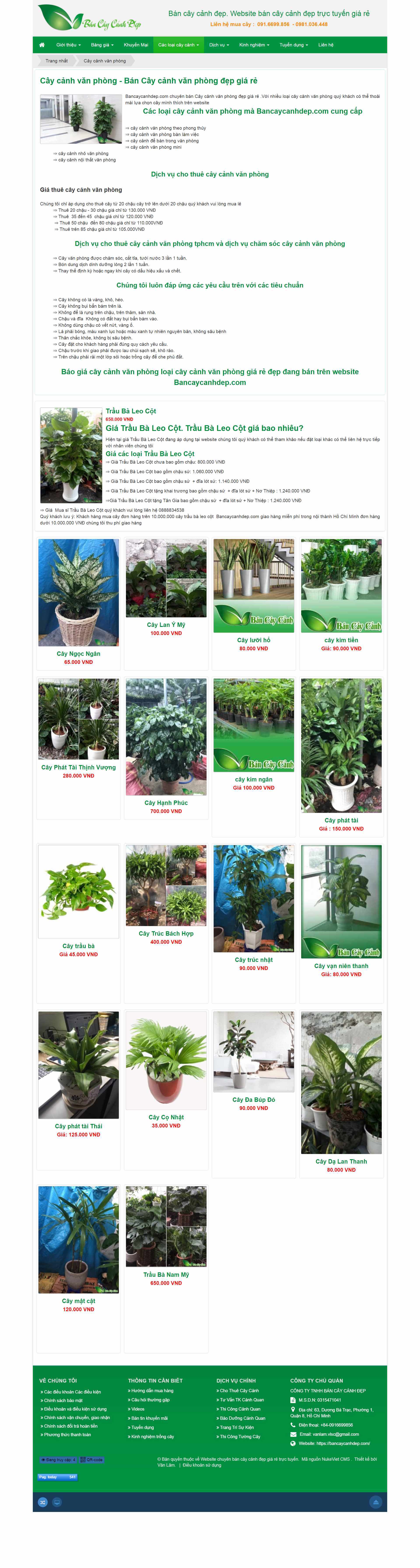 Thiết kế Web mua bán cây cảnh bancaycanhdep.com