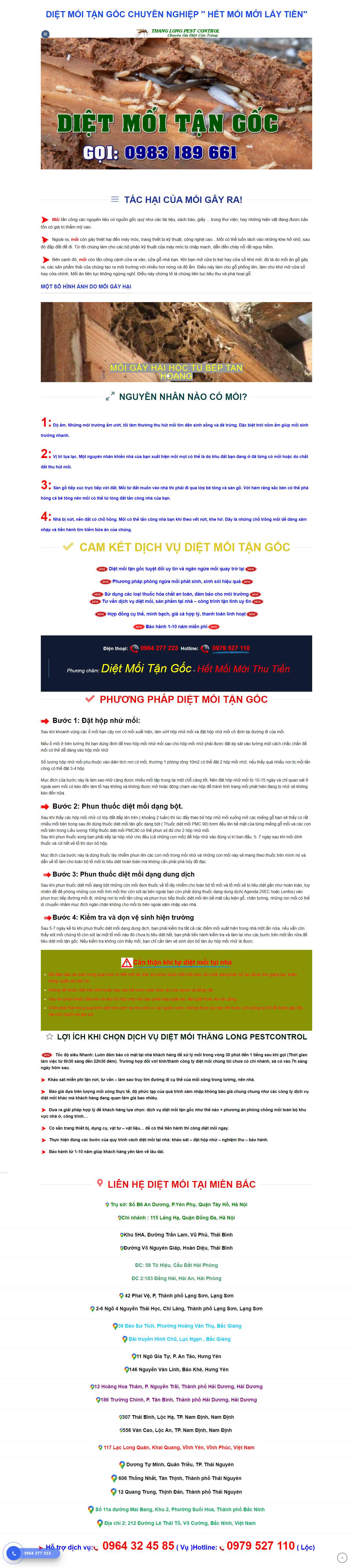 Thiết kế Web diệt mối dietmuoi.asia