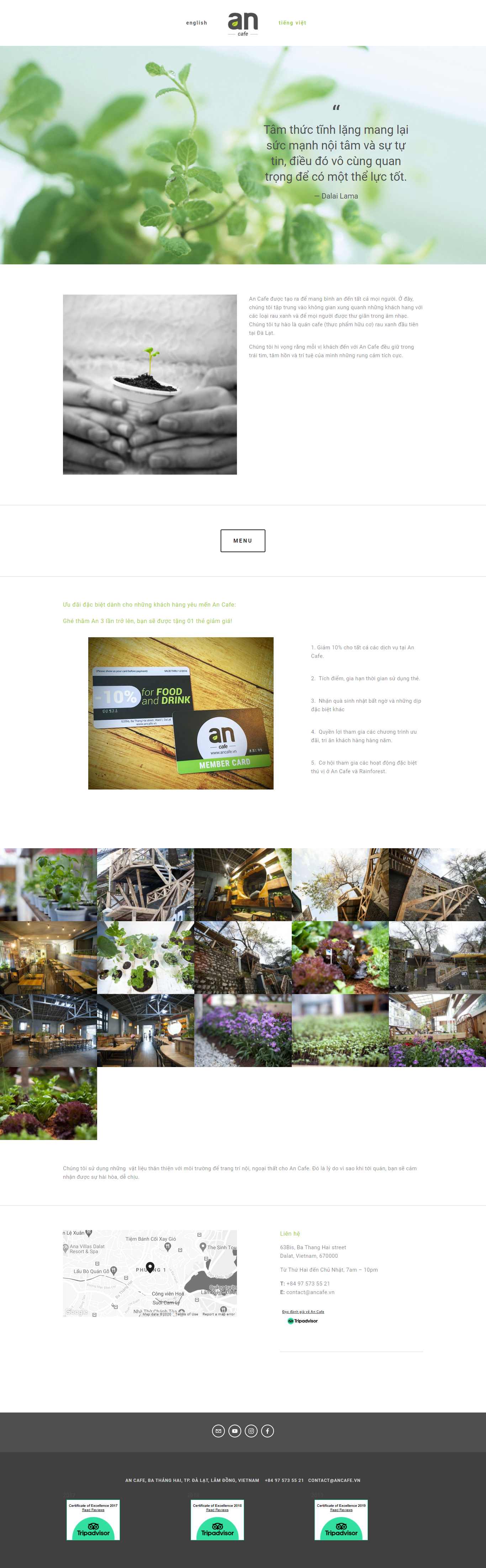 Thiết kế Web quán trà chanh ancafe.vn