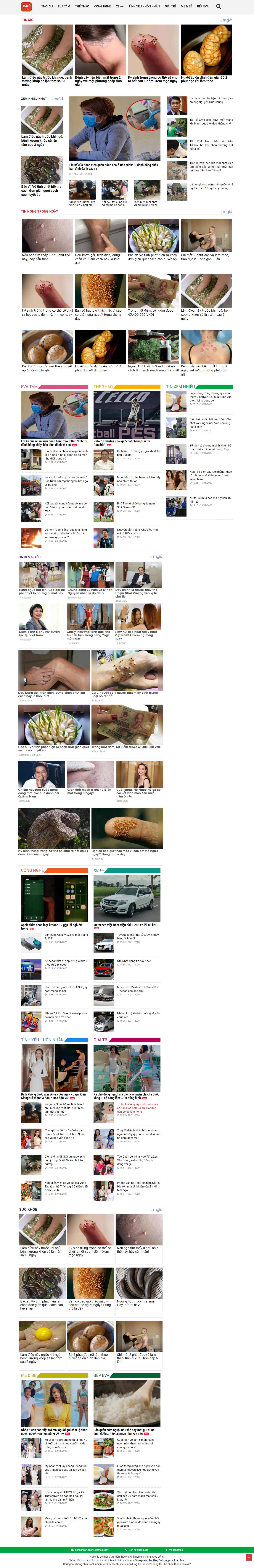 Thiết kế Web dantri tinnhanhvn.online