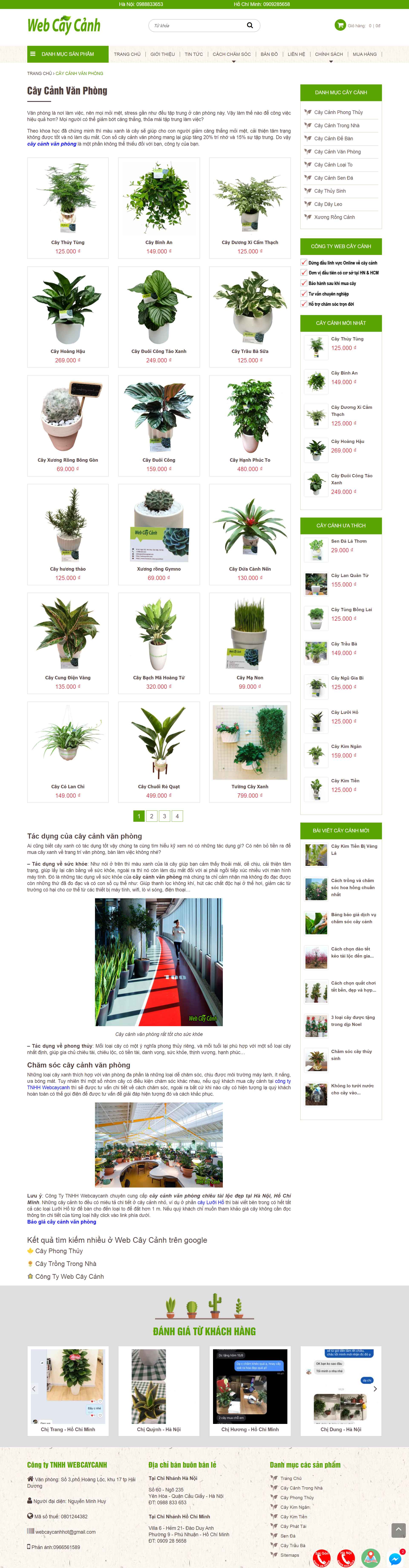 Thiết kế Web cây cảnh văn phòng webcaycanh.com