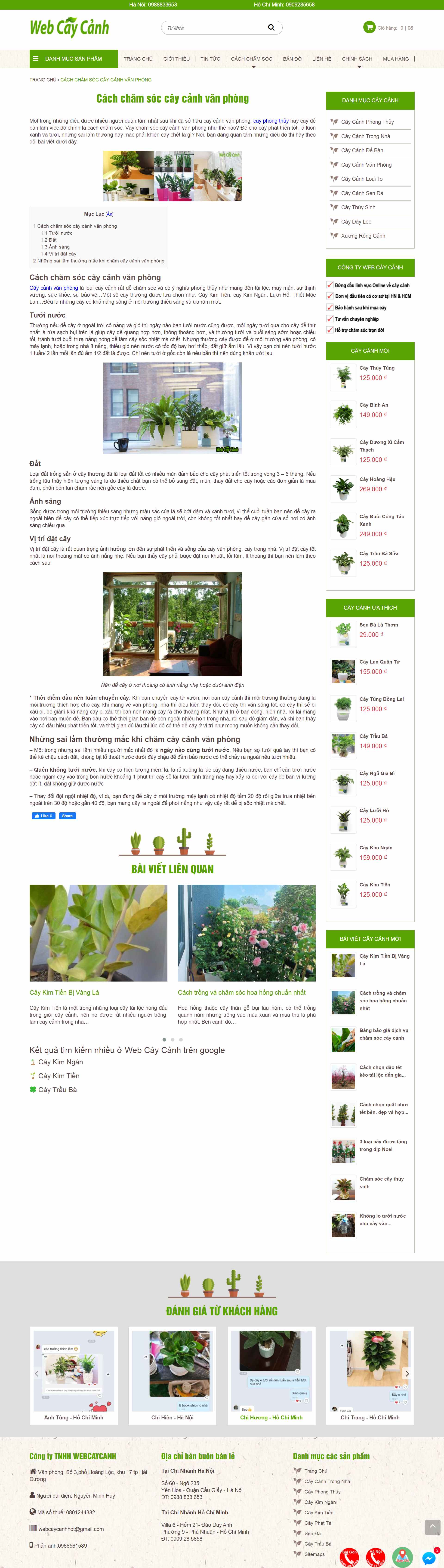Thiết kế Web cây cảnh đẹp webcaycanh.com