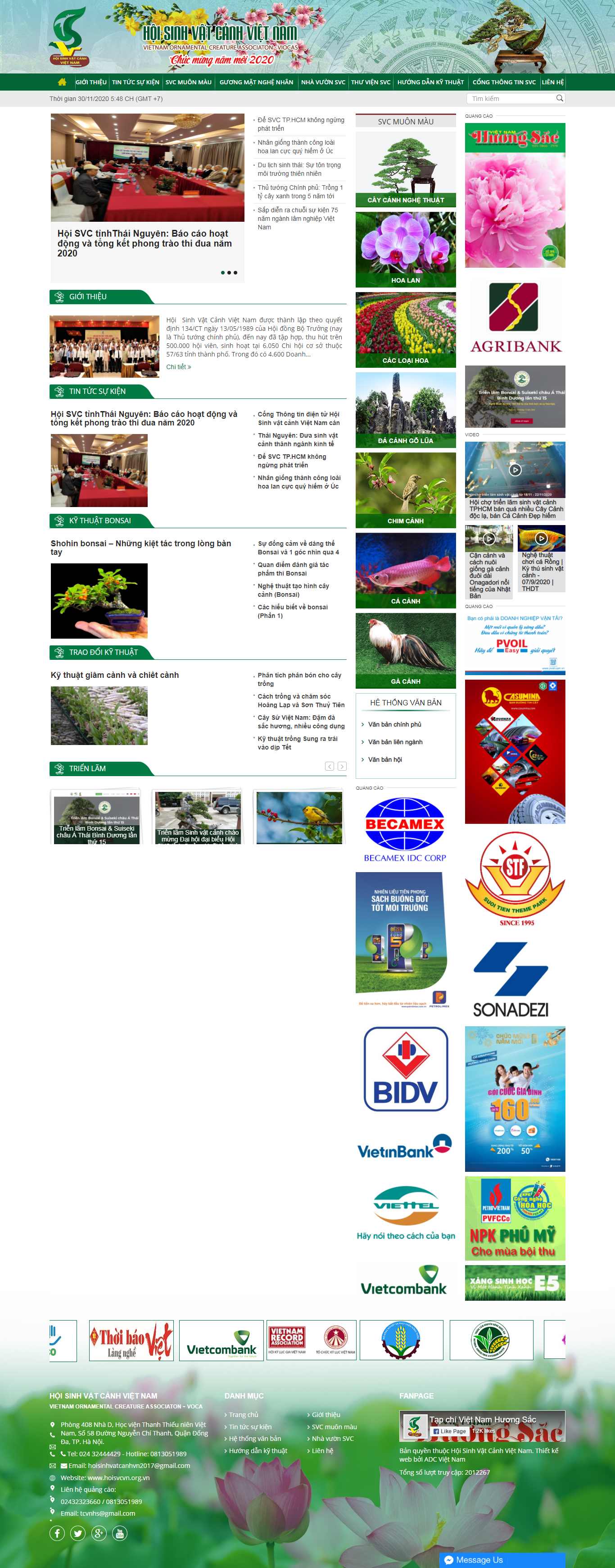 Thiết kế Web bán chim cảnh hoisvcvn.org.vn